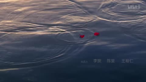 大道独行之蝶龙变